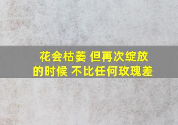 花会枯萎 但再次绽放的时候 不比任何玫瑰差